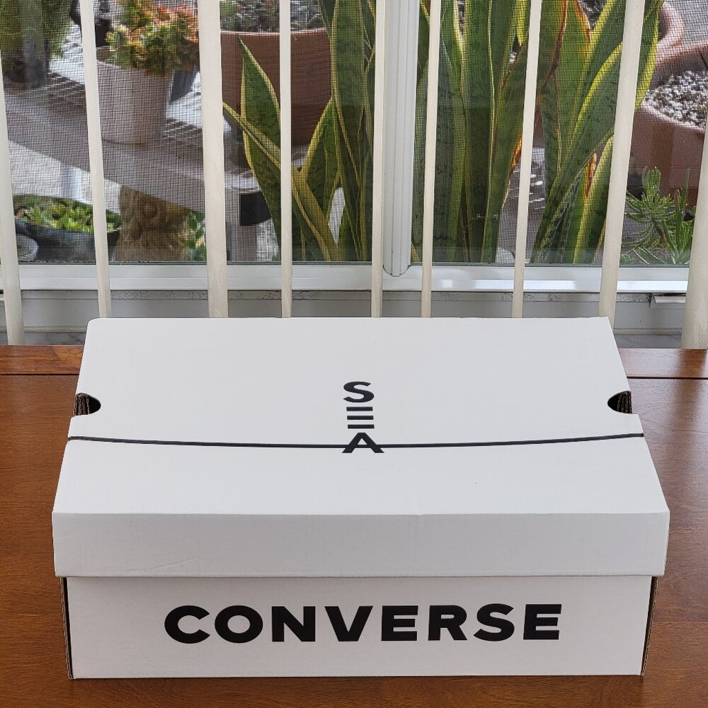 Converse Vince Staples Thunderbolt Ox 163894C Black / Egret / Winter White - Picture 14 of 14